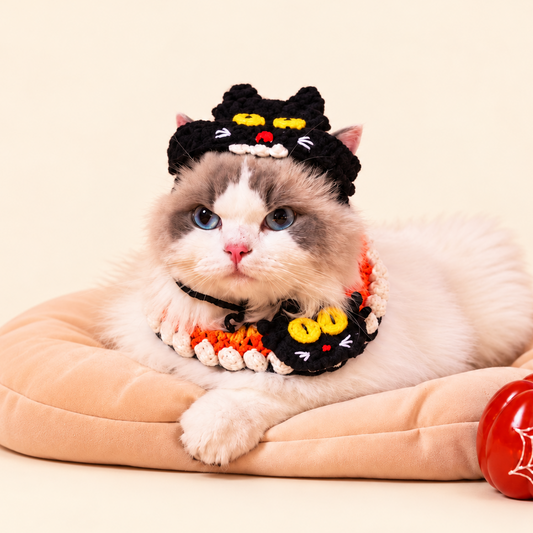 Black Cat Mischief Set