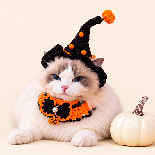 Midnight Pumpkin Set