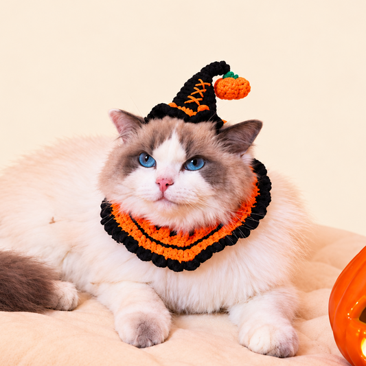 Pumpkin Spell Set